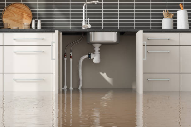 Best Water damage cleanup near me  in Greenup, KY